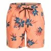 Quiksilver Mens Everyday Mix Volley 17" Boardshorts 1 Quiksilver Mens Everyday Mix Volley 17" Boardshorts -ONeill Shop 2f39354b 2f79 49a1 b4d3 f4c8a5be384f