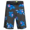 Quiksilver Men's Highlite Arch 19" Boardshorts